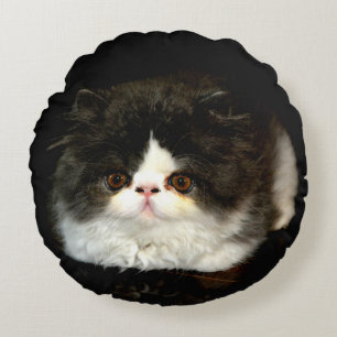 Cute black white kitten cat ragdoll photo round pillow