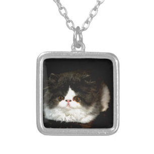 Cute black white kitten cat ragdoll photo silver plated necklace