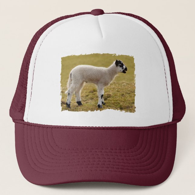 Cute Black White Lamb Bleating Baby Sheep Trucker Hat (Front)