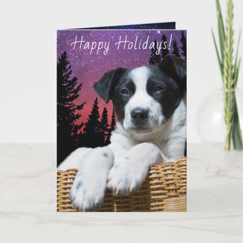 Cute Black White Puppy Colorful Starry Sky Custom Holiday Card