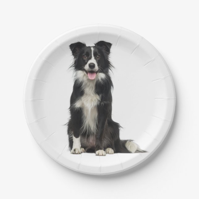 Cute Black White Puppy Dog Border Collie Party Paper Plates (Front)