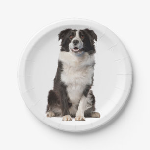 Cute Black White Puppy Dog Border Collie Party Paper Plates