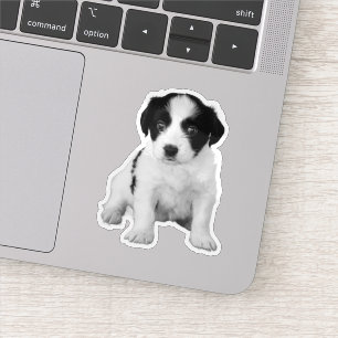 Cute Black White Puppy Photo Sticker