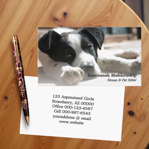 Cute Black & White Puppy Replaceable Photograph 