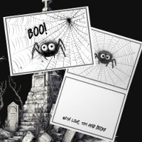 Cute Black & White Spiders | Spider Web Halloween