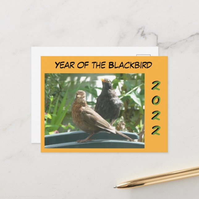 Cute Blackbirds Pair Year 2022 Cust. Postcard (Front/Back In Situ)