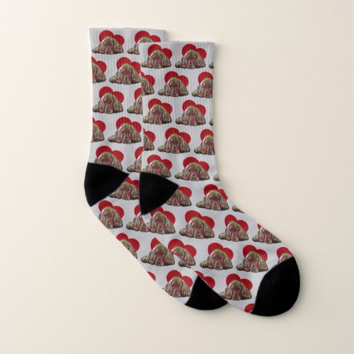 Cute Blond Cocker Spaniel PopArt Graphic Design Socks