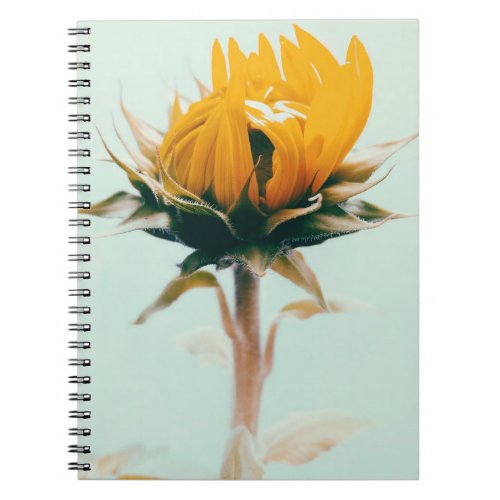 Cute blooming sunflower flower art notebook