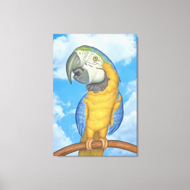 Cute Blue and Gold Macaw Parrot Canvas Print (Front)
