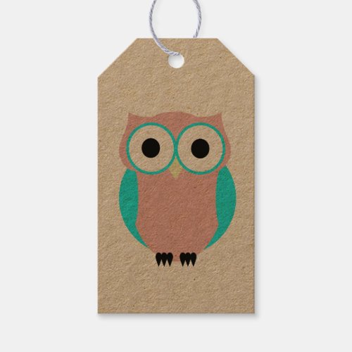 Cute Blue And Pink Owls Baby Shower Gift Tag