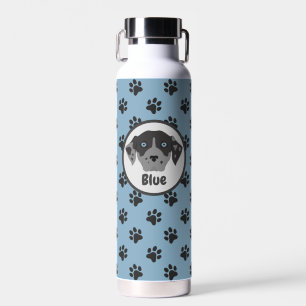 Cute blue, black paw print stainless steel water bottle
