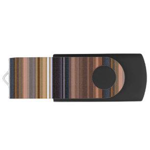 Cute blue brown stripes flash drive