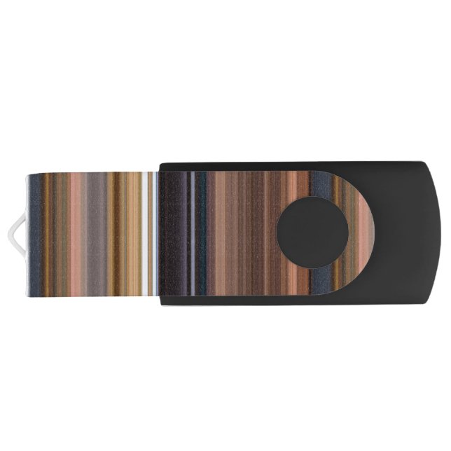 Cute blue brown stripes flash drive (Back)