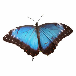Cute Blue Butterfly Animal Office Party Shower Art Cutout