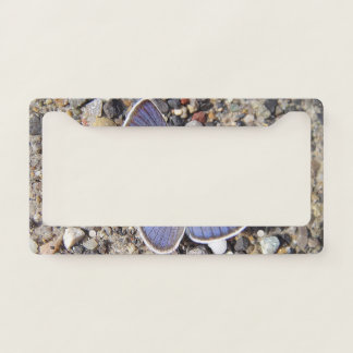 Cute blue butterfly license plate frame