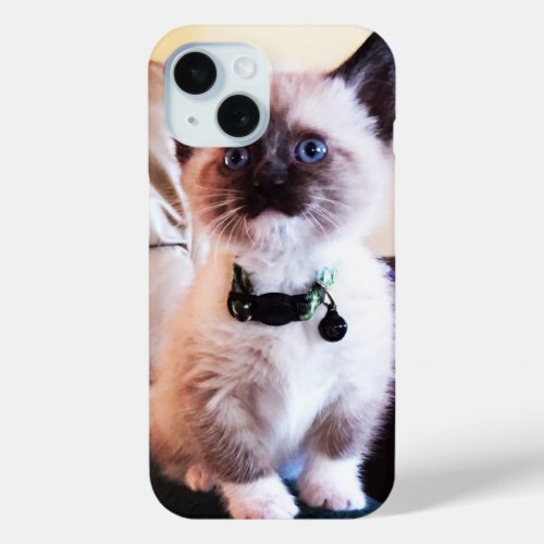 Cute Blue Eyed Masked Kitten Photograph iPhone 15 Case