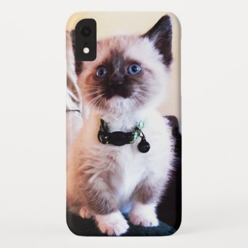 Cute Blue Eyed Masked Kitten Photograph iPhone XR Case