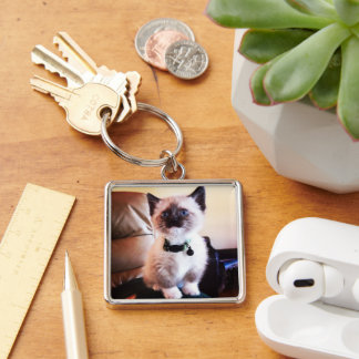 Cute Blue Eyed Masked Kitten Photograph Keychain
