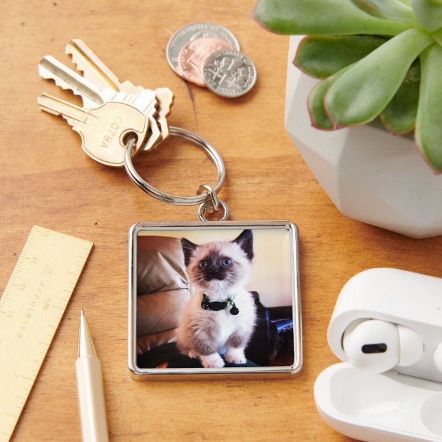Cute Blue Eyed Masked Kitten Photograph Keychain (Desk)