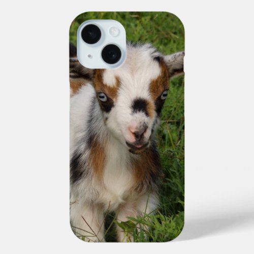 Cute Blue Eyed Nigerian Dwarf Dairy Goat Kid iPhone 15 Case