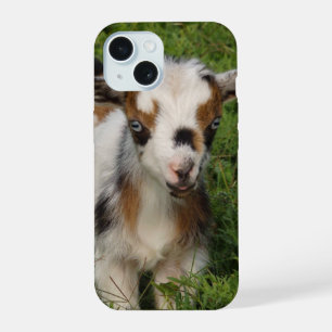 Cute Blue Eyed Nigerian Dwarf Dairy Goat Kid iPhone 15 Case