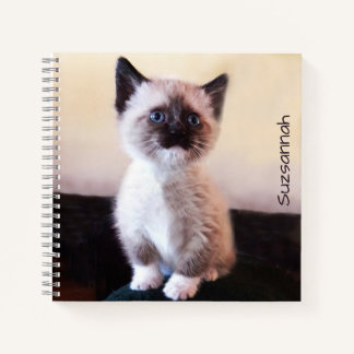 Cute Blue Eyed Pet Siamese Kitten Placeholder Notebook