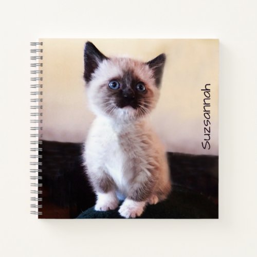 Cute Blue Eyed Pet Siamese Kitten Placeholder Notebook