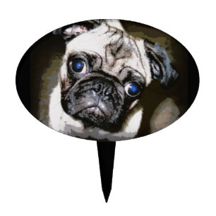 cute blue-eyed pug cake topper