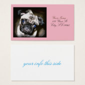 cute blue-eyed pug face Thunder_Cove (Front & Back)