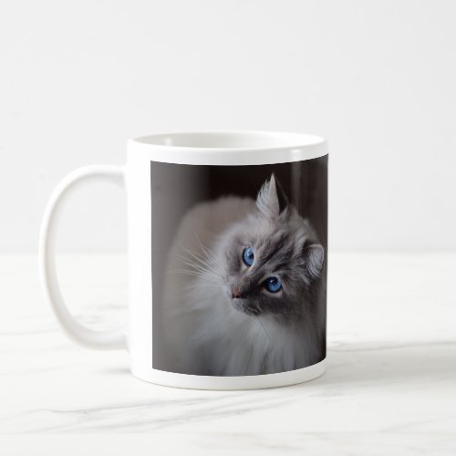 Cute Blue Eyed Ragdoll cat Mug