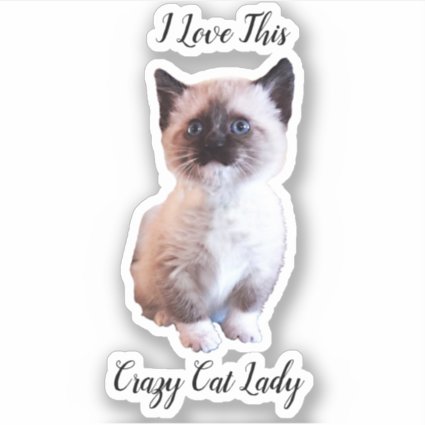 Cute Blue Eyed Siamese Kitten Custom Sticker