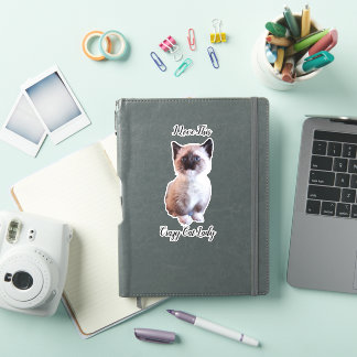 Cute Blue Eyed Siamese Kitten Custom Sticker