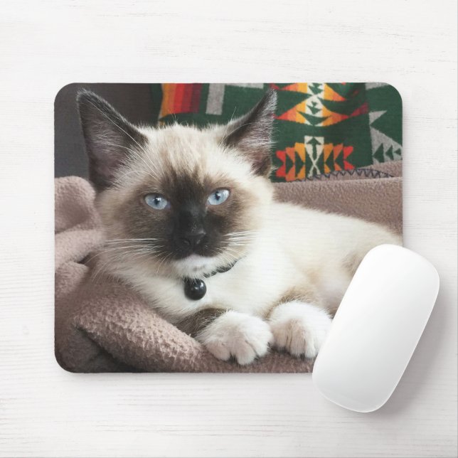 Cute Blue-Eyed Siamese Kitten Photo Mouse Pad (With Mouse)