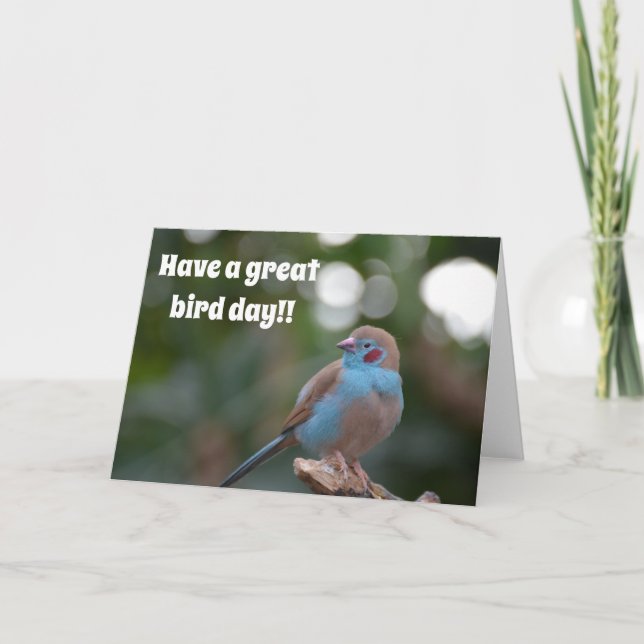 Cute blue finch birthday card (Front)