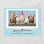 Cute Blue Happy Birthday From The Chickens Postcard