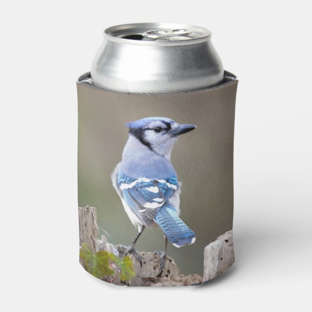 Cute Blue Jay Songbird on Treestump Can Cooler (Can Front)