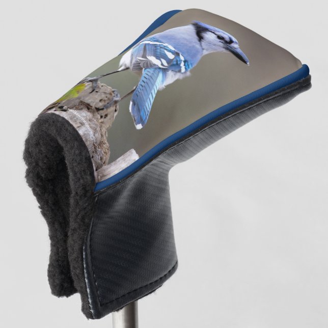 Cute Blue Jay Songbird on Treestump Golf Head Cover (3/4 Front)