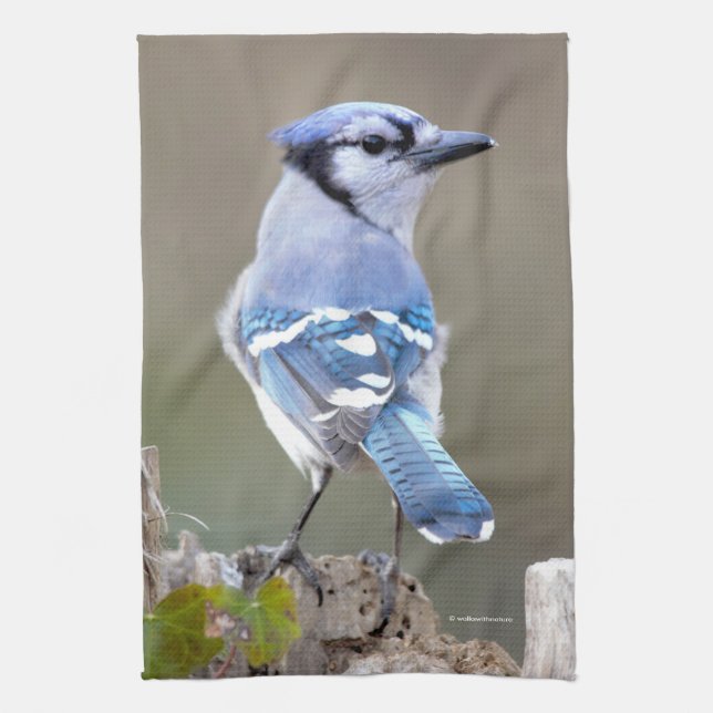Cute Blue Jay Songbird on Treestump Kitchen Towel (Vertical)