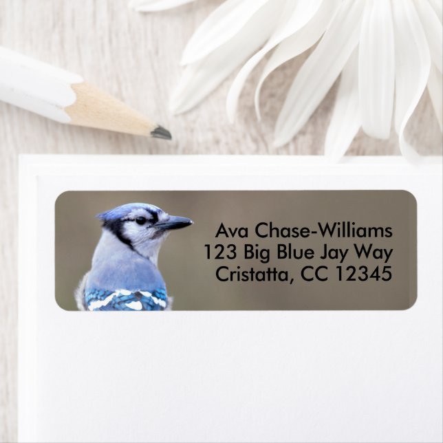 Cute Blue Jay Songbird on Treestump Label (Insitu)