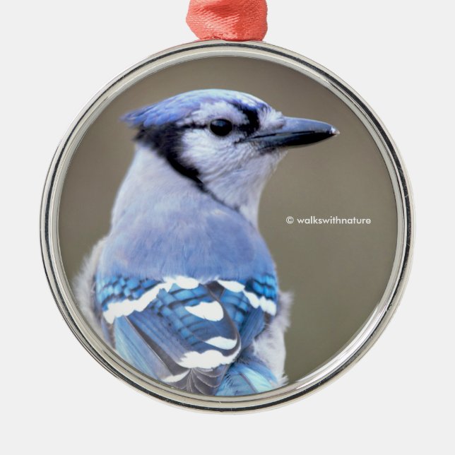 Cute Blue Jay Songbird on Treestump Metal Ornament (Front)
