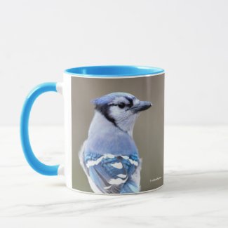 Cute Blue Jay Songbird on Treestump Mug
