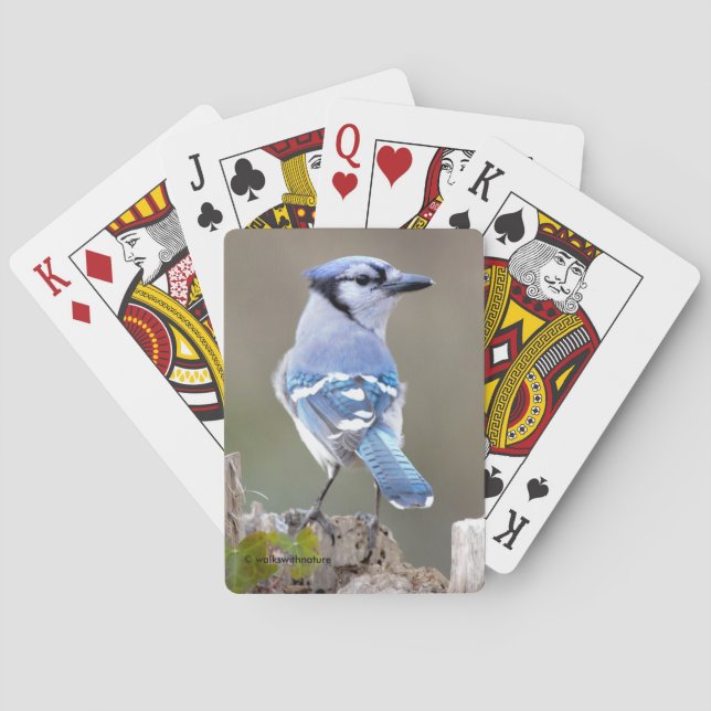 Cute Blue Jay Songbird on Treestump Poker Cards (Back)