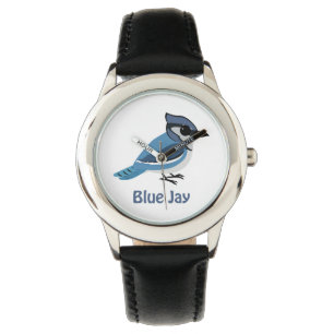 Cute Blue Jay Watch