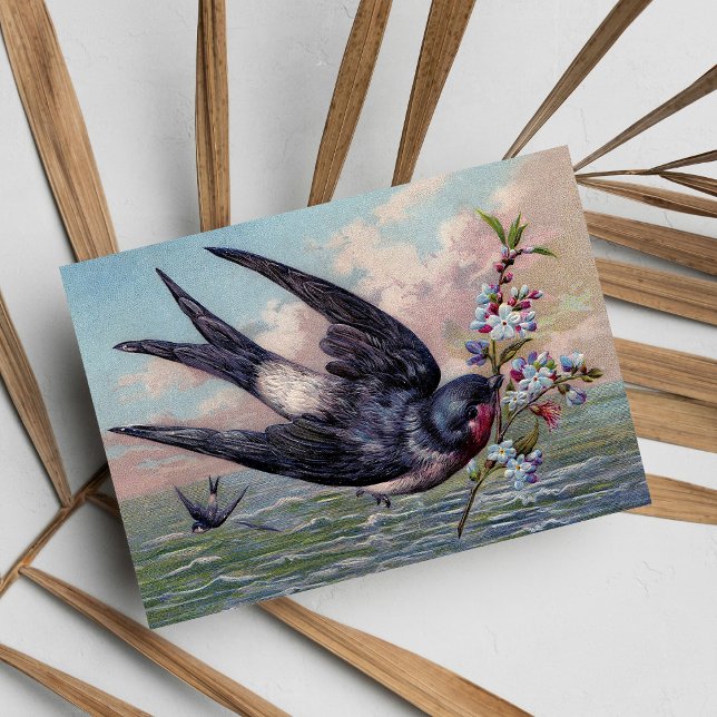 Cute Blue Red Swallow Bird And Pretty Flowers Postcard (Cute Blue Red Swallow Bird And Pretty Flowers Postcard)