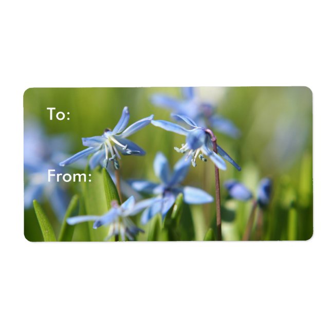Cute Blue Scilla flowers Label (Front)