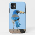 Cute Blue Scrub Jay Bird &amp; Peanut iPhone 11 Case