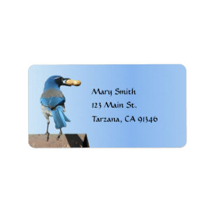 Cute Blue Scrub Jay Bird with Peanut Label