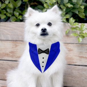 Cute Blue Suit Black Bowtie Pet Bandana Collar
