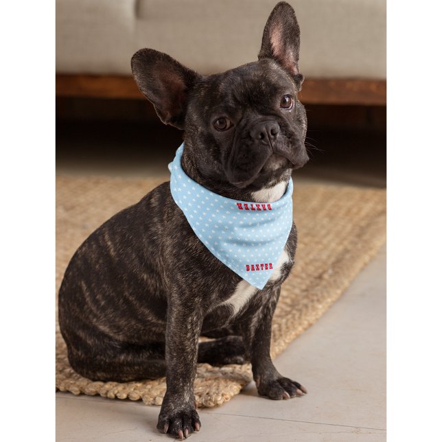 Cute Blue White Stars Cat Dog Puppy Doggy Name Fun Bandana (Cute Blue White Stars Cat Dog Puppy Doggy Name Fun Bandana)