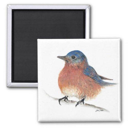 Cute Bluebird Painted Art Magnet